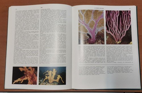 SUB ENCICLOPEDIA DEL SUBACQUEO 2 volumi completo 1968 Sansoni Libro …