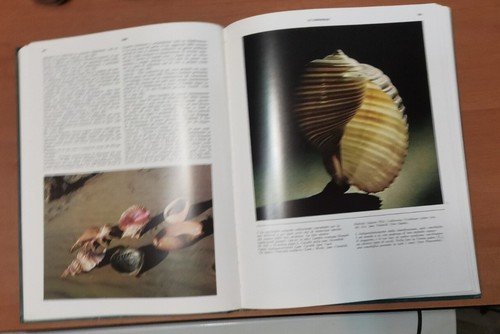 SUB ENCICLOPEDIA DEL SUBACQUEO 2 volumi completo 1968 Sansoni Libro …