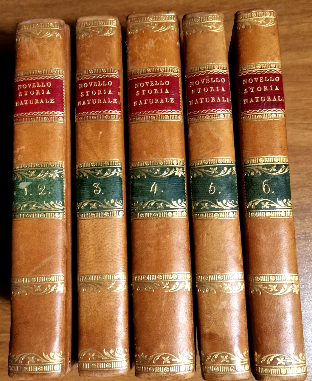 SUI PRINCIPI E PROGRESSI DELLA STORIA NATURALE di Triffon Novello …