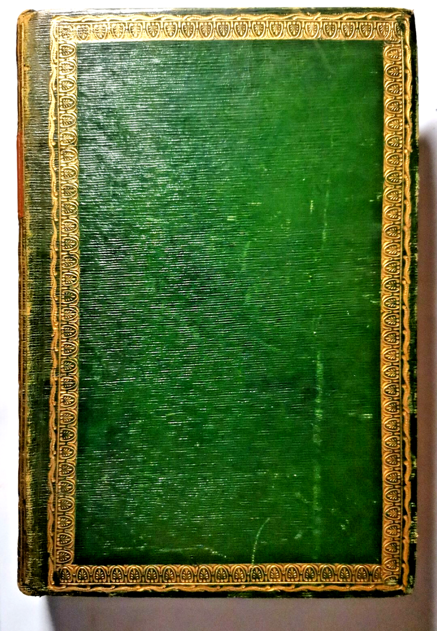 SULLA GENESI E CURA DELL'IDROPE saggio di Geromini 1816 libro … | Immagine principale