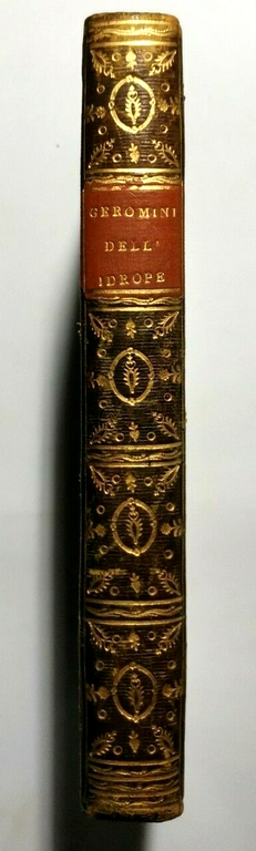 SULLA GENESI E CURA DELL'IDROPE saggio di Geromini 1816 libro … | Immagine Gallery 2