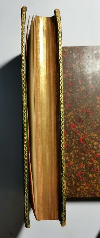 SULLA GENESI E CURA DELL'IDROPE saggio di Geromini 1816 libro …