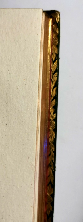 SULLA GENESI E CURA DELL'IDROPE saggio di Geromini 1816 libro … | Immagine Gallery 6