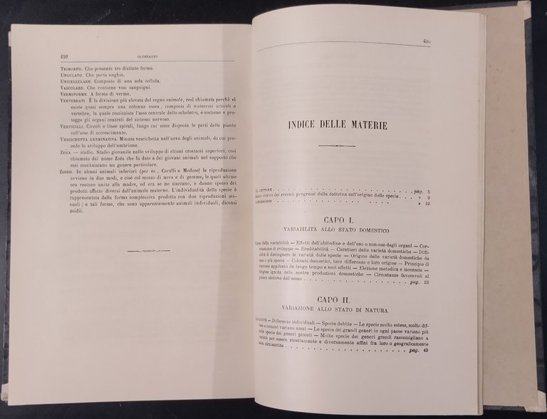 SULLA ORIGINE DELLE SPECIE di Carlo Darwin 1875 UTET Libro …