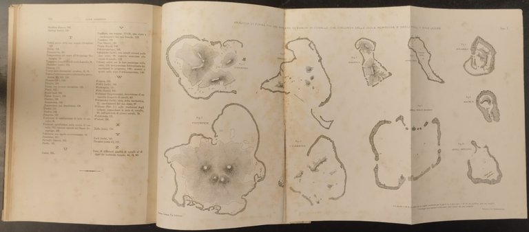 SULLA STRUTTURA E DISTRIBUZIONE DEI BANCHI DI CORALLO Darwin 1888 …