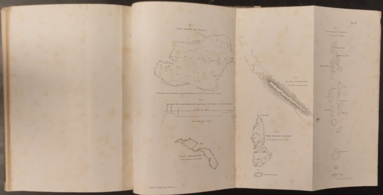 SULLA STRUTTURA E DISTRIBUZIONE DEI BANCHI DI CORALLO Darwin 1888 …