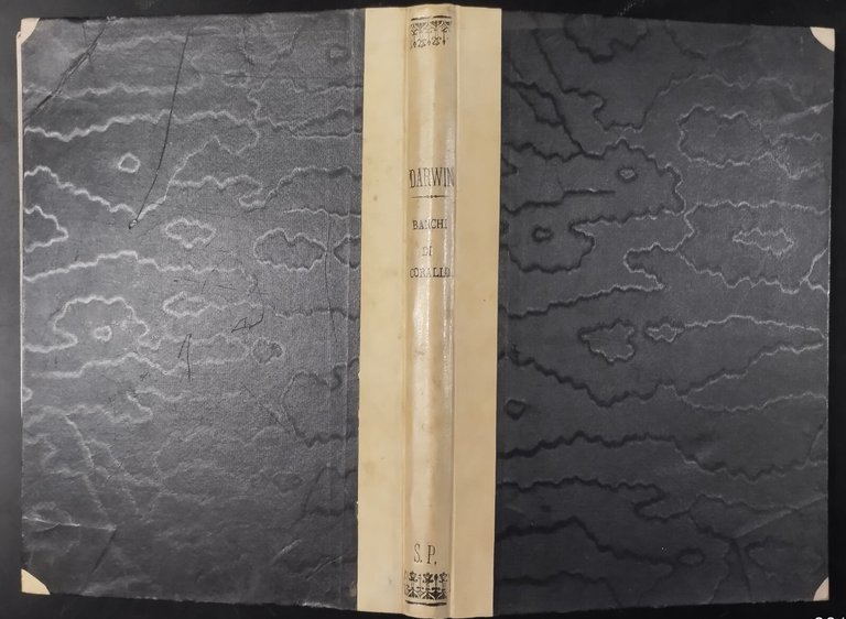 SULLA STRUTTURA E DISTRIBUZIONE DEI BANCHI DI CORALLO Darwin 1888 …