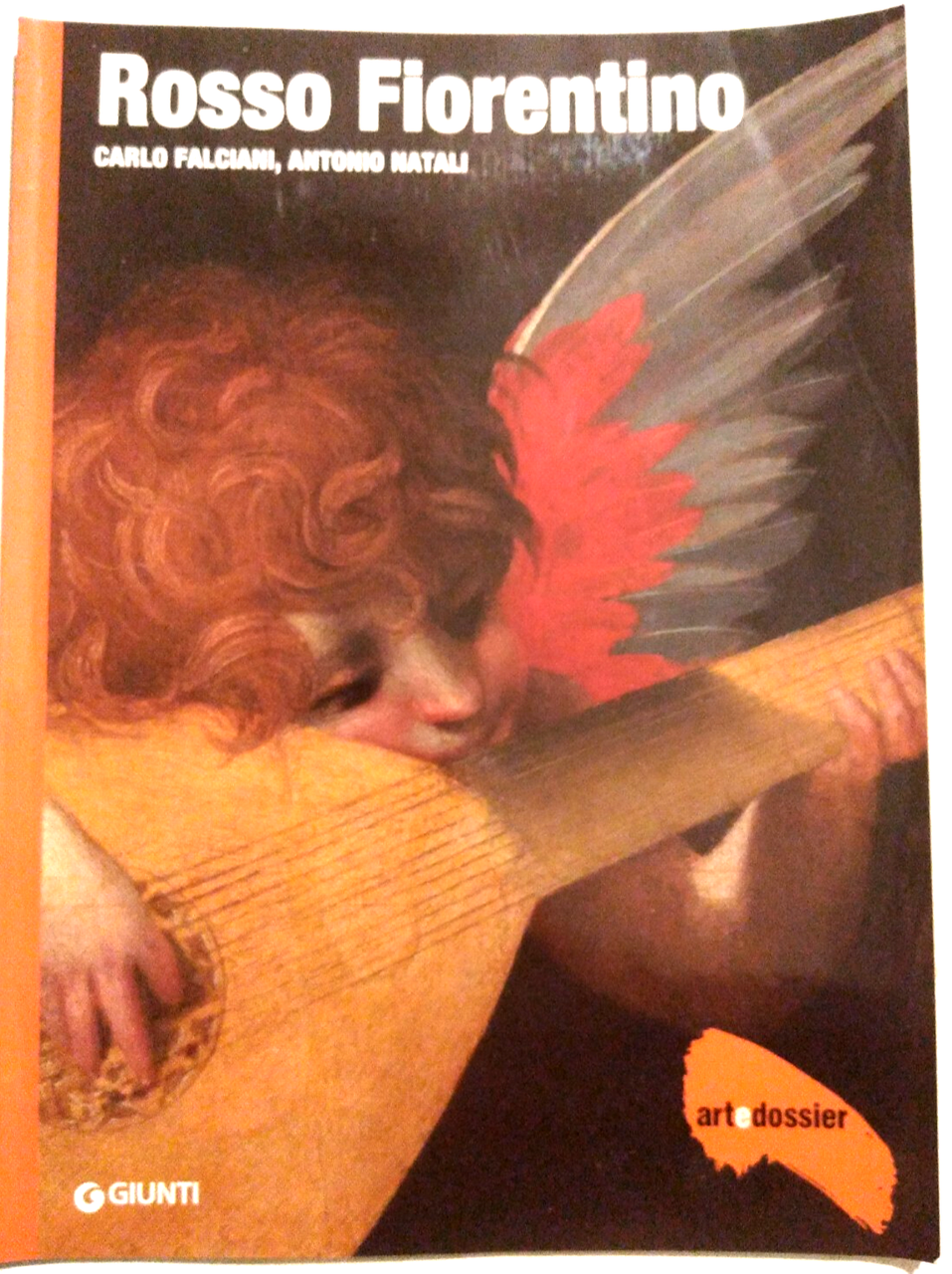 TARDO IMPERO PITTURA OLANDESE OTTOCENTO ITALIANO ROSSO FIORENTINO Monografia su