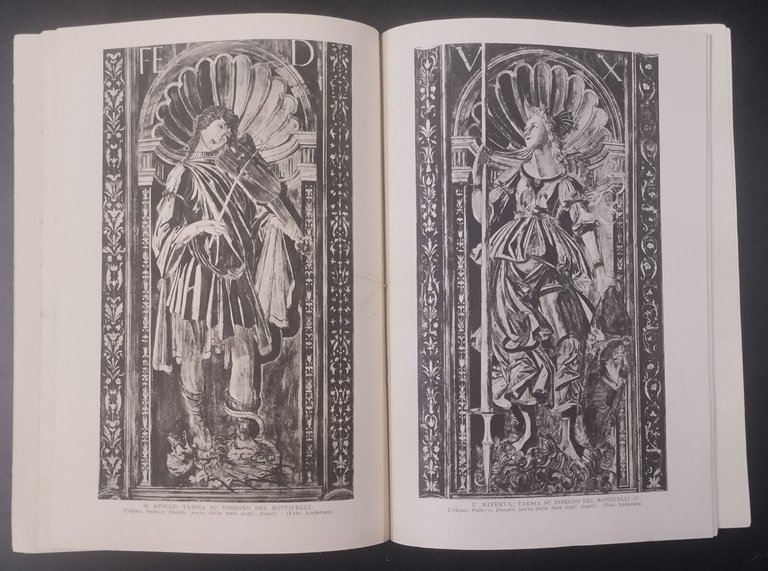 TARSIE con 56 tavole di Francesco Arcangeli 1943 Tumminelli Libro …