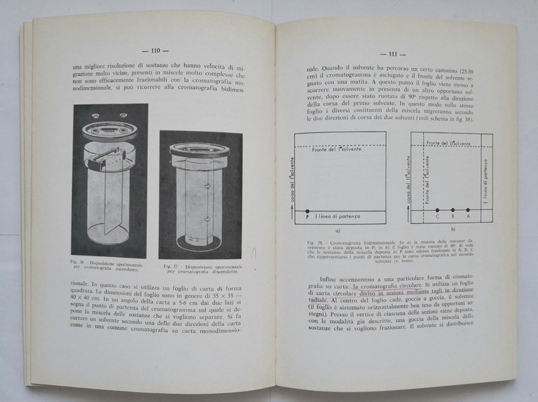 TECNICHE IN BIOCHIMICA di Francesco Cedrangolo 1972 Morano libro