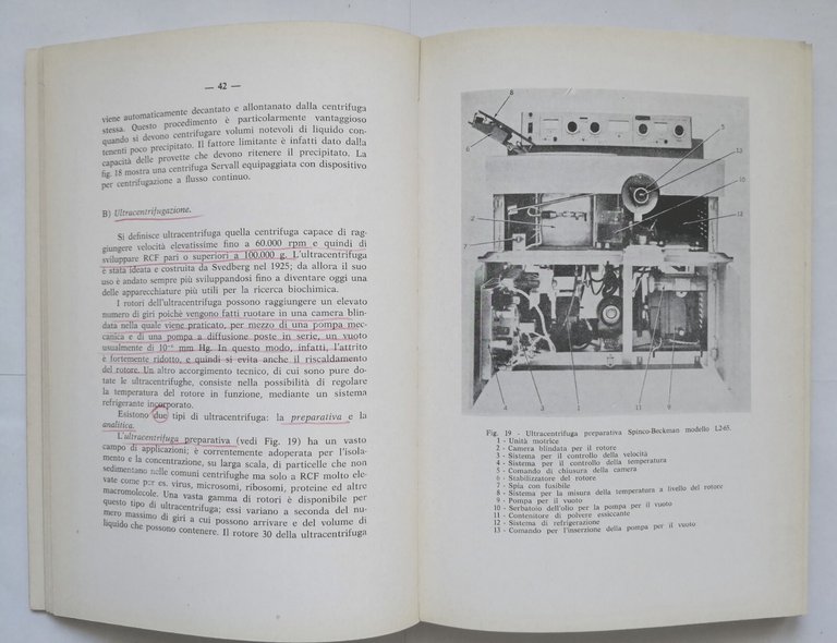 TECNICHE IN BIOCHIMICA di Francesco Cedrangolo 1972 Morano libro