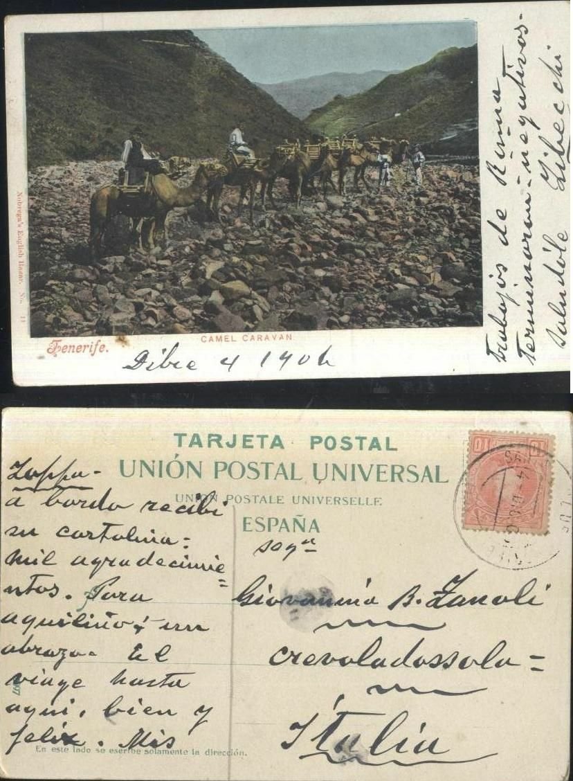 TENERIFE CAMEL CARAVAN cartolina viaggiata 14/12/1904 postcard tarjeta Vintage