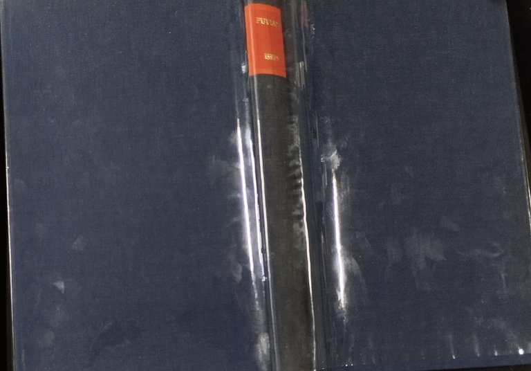 TEORIA DELLA ILLUSIONE FINANZIARIA di Puviani 1976 Isedi Libro economia