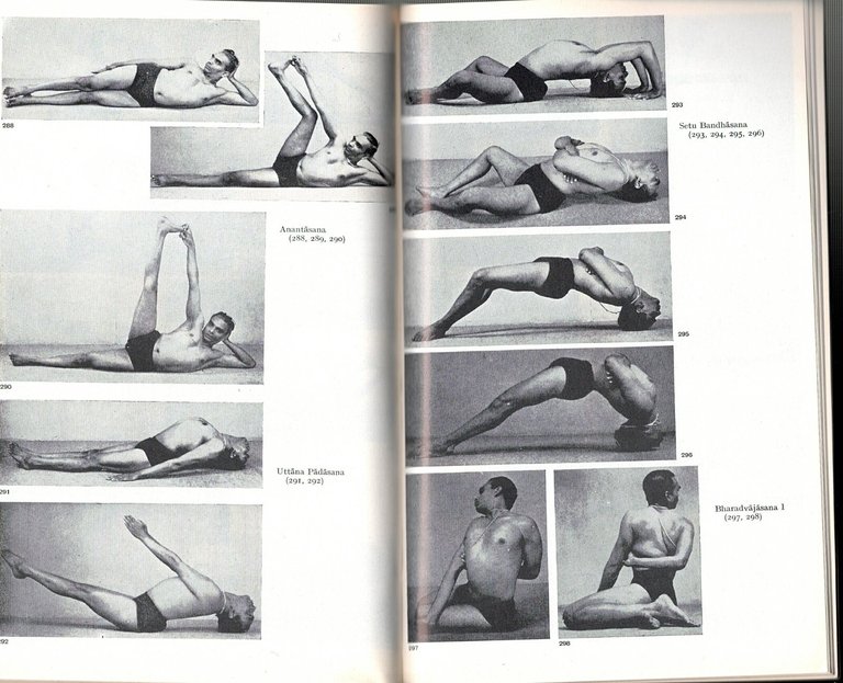 TEORIA E PRATICA DELLO YOGA di B K S Iyengar …