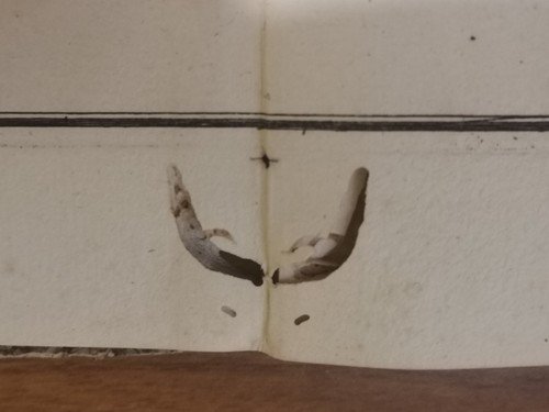 TEORIA E PRATICA DI ARCHITETTURA CIVILE Girolamo Masi 1788 Fulgoni …