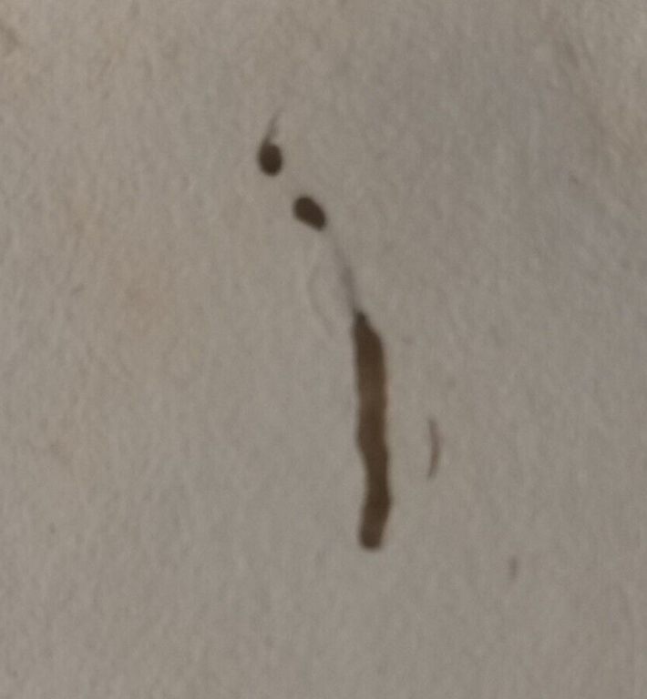 TEORIA E PRATICA DI ARCHITETTURA CIVILE Girolamo Masi 1788 Fulgoni …