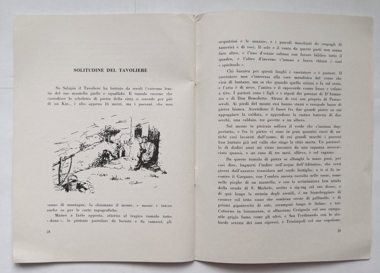 TERRA SALDA di Domenico Lamura 1964 appunti per biografia del …