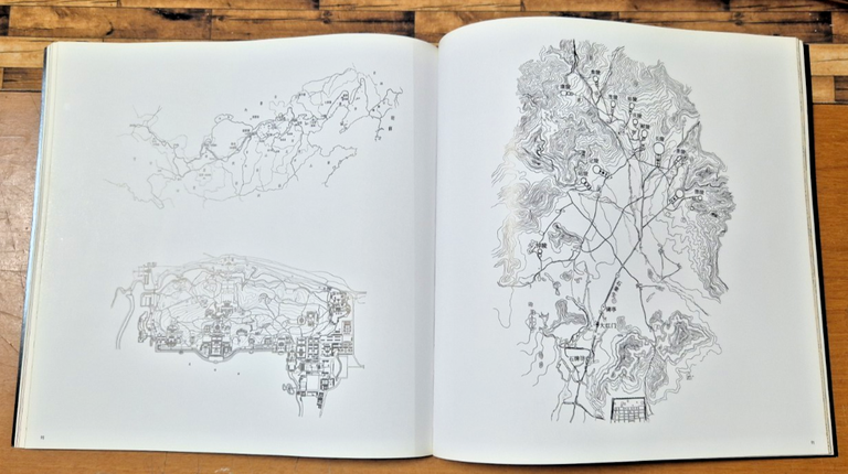 THE AGILE RABBIT BOOK OF HISTORICAL AND CURIOUS MAPS Pepin … | Immagine Gallery 4