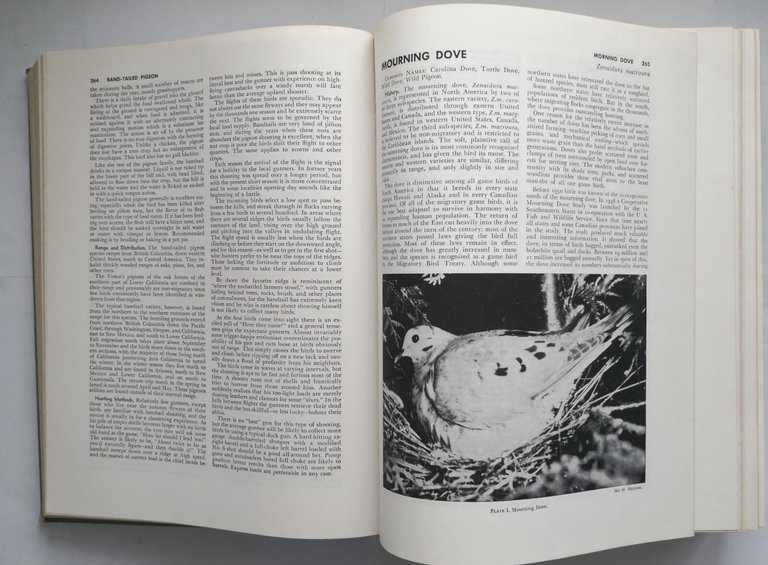 THE NEW HUNTER'S ENCYCLOPEDIA 1966 Stackpole Books Libro Caccia Enciclopedia