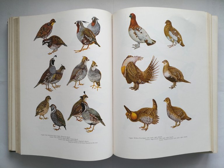 THE NEW HUNTER'S ENCYCLOPEDIA 1966 Stackpole Books Libro Caccia Enciclopedia