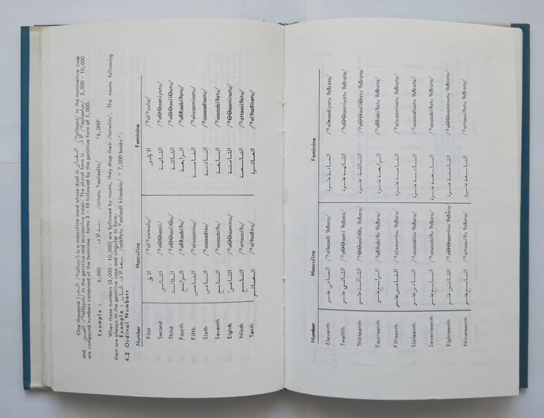 THE STRUCTURE OF ARABIC di Raja Nasr 1979 Librairie du …