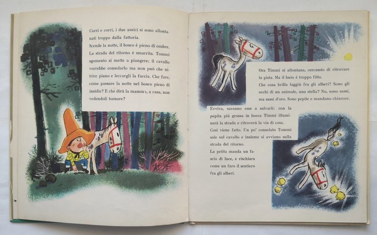 TIMMI IL CAVALLINO di Grazia Nidasio 1963 AMZ libro illustrato …