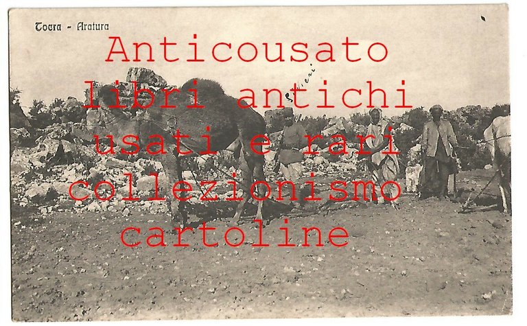 Tocra Aratura CARTOLINA Postcard vintage anni'30 Libia Africa Italiana | Immagine Gallery 1