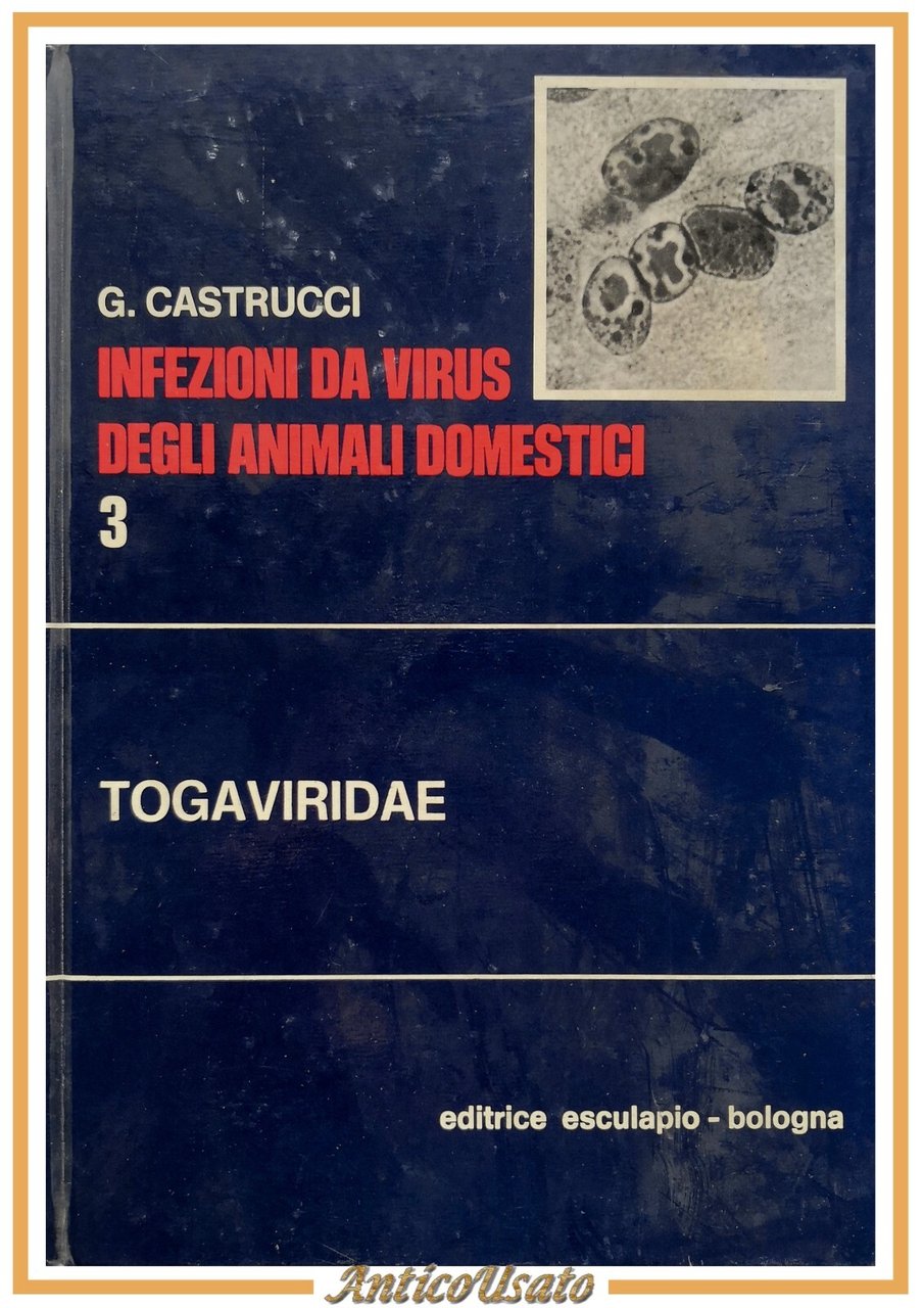TOGAVIRIDAE di Castrucci INFEZIONI DA VIRUS DEGLI ANIMALI DOMESTICI 1978 …