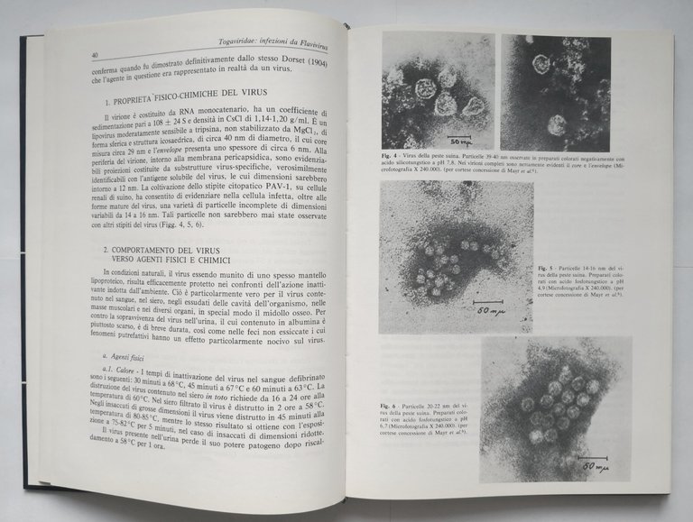 TOGAVIRIDAE di Castrucci INFEZIONI DA VIRUS DEGLI ANIMALI DOMESTICI 1978 …