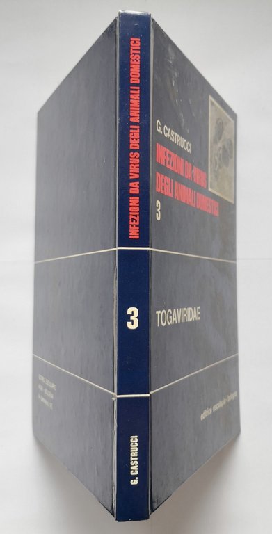 TOGAVIRIDAE di Castrucci INFEZIONI DA VIRUS DEGLI ANIMALI DOMESTICI 1978 …