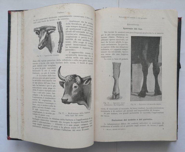 TRATTATO DELLE MALATTIE DEL BESTIAME di Moussu 1908 UTET libro …