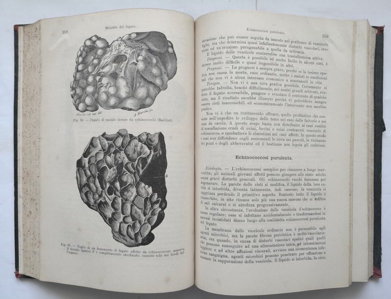 TRATTATO DELLE MALATTIE DEL BESTIAME di Moussu 1908 UTET libro …