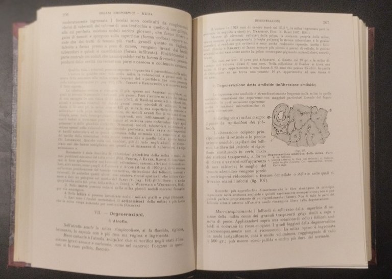 TRATTATO DI ANATOMIA PATOLOGICA SPECIALE 3 Volumi Kaufmann 1925 Vallardi …