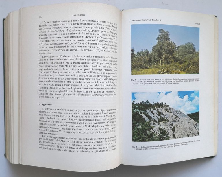 TRATTATO DI BOTANICA Carlo Cappelletti volume 2 sistematica 1976 UTET …