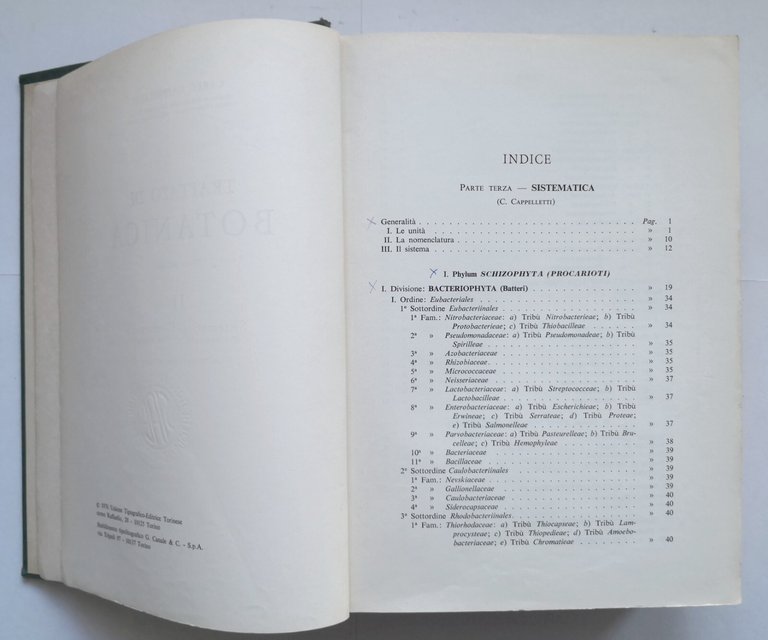 TRATTATO DI BOTANICA Carlo Cappelletti volume 2 sistematica 1976 UTET …
