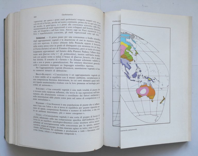 TRATTATO DI BOTANICA Carlo Cappelletti volume 2 sistematica 1976 UTET …