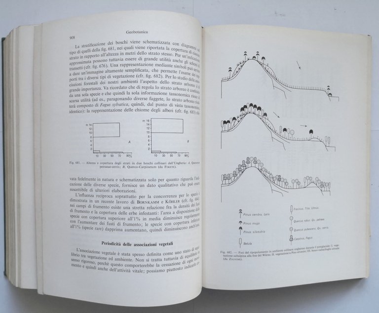 TRATTATO DI BOTANICA Carlo Cappelletti volume 2 sistematica 1976 UTET …