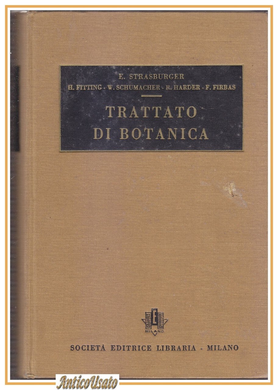 TRATTATO DI BOTANICA di Strasburger Fitting Schumacher Harder 1951 libro …