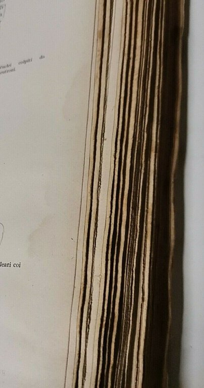 TRATTATO DI CHIMICA FISICA ED ELETTROCHIMICA di John Eggert 1941 …
