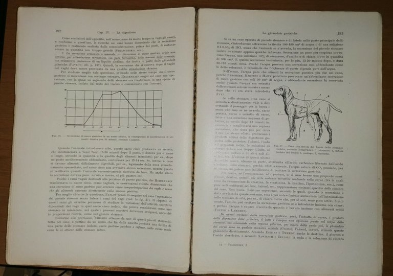 TRATTATO DI FISIOLOGIA DELL'UOMO VOLUME I di Roberto Tigerstedt 1934 …