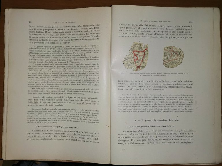 TRATTATO DI FISIOLOGIA DELL'UOMO VOLUME I di Roberto Tigerstedt 1934 …