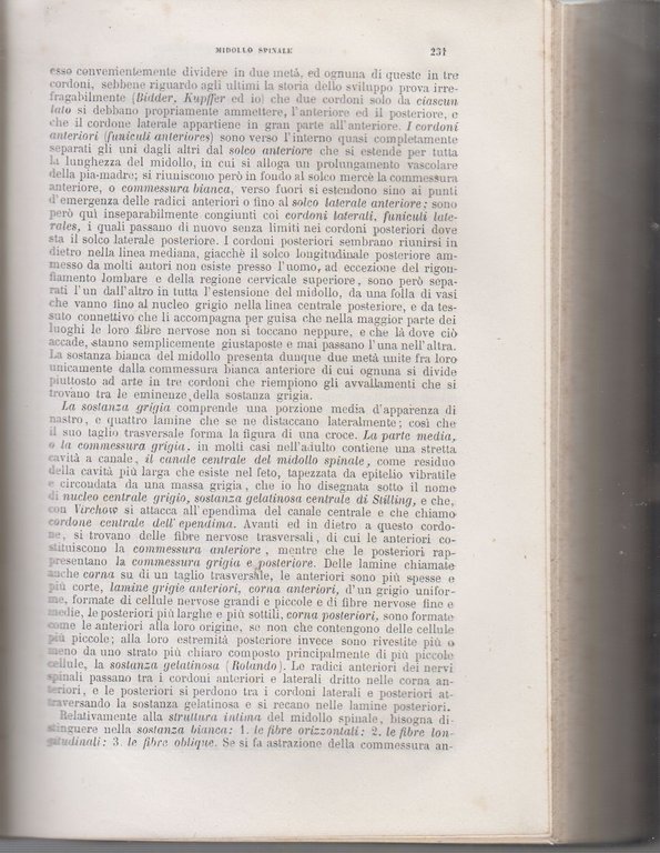 TRATTATO DI ISTOLOGIA UMANA Albert Kolliker 1866 Trani Libro antico … | Immagine Gallery 3