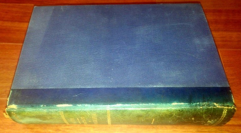 TRATTATO DI TOPOGRAFIA di Claudio Pasini 1926 Zanichelli libro usato*