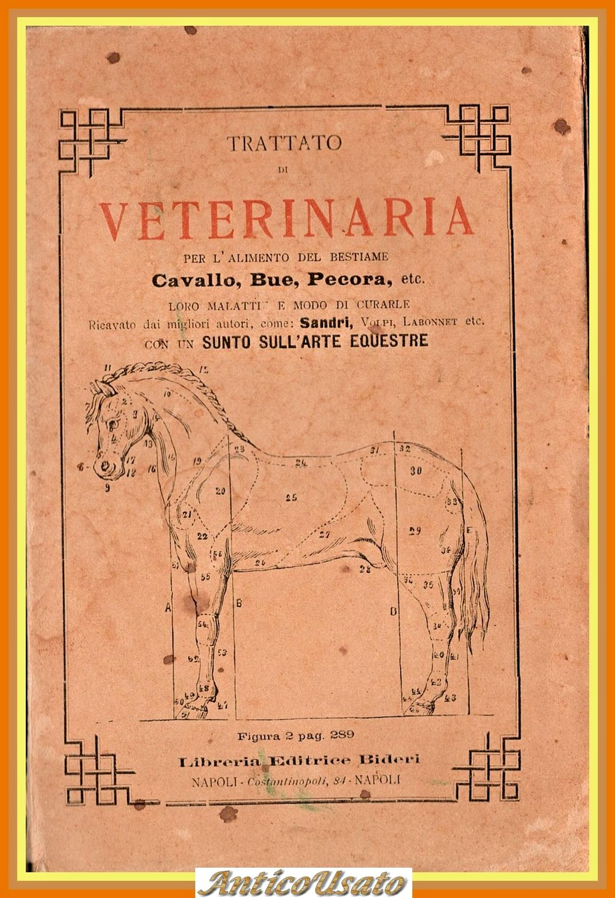 TRATTATO DI VETERINARIA E SUNTO SULL'ARTE EQUESTRE 1898 Bideri Libro …