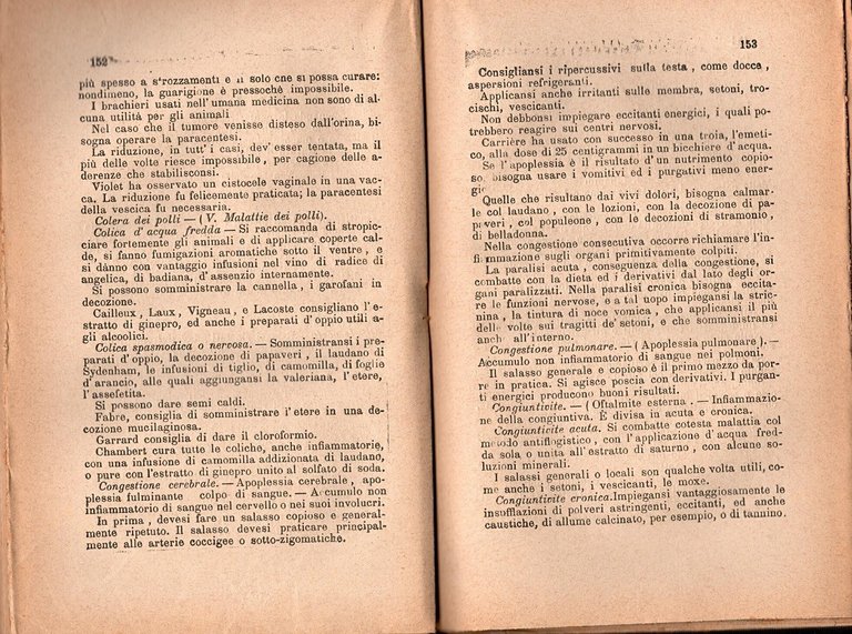 TRATTATO DI VETERINARIA E SUNTO SULL'ARTE EQUESTRE 1898 Bideri Libro …