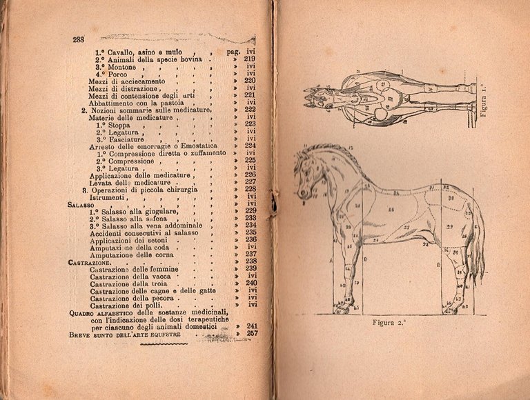 TRATTATO DI VETERINARIA E SUNTO SULL'ARTE EQUESTRE 1898 Bideri Libro …