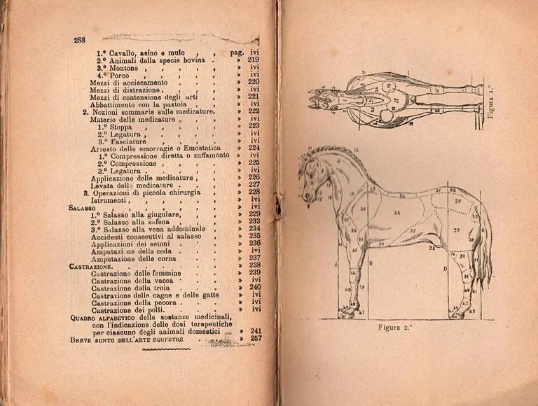 TRATTATO DI VETERINARIA E SUNTO SULL'ARTE EQUESTRE 1898 Bideri Libro … | Immagine Gallery 4