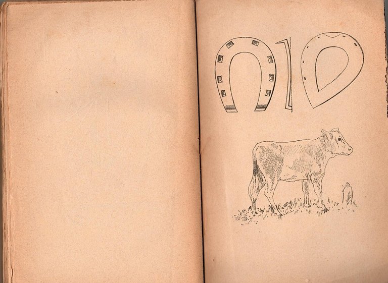TRATTATO DI VETERINARIA E SUNTO SULL'ARTE EQUESTRE 1898 Bideri Libro …