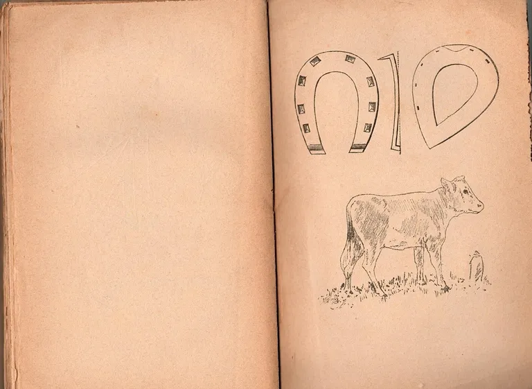 TRATTATO DI VETERINARIA E SUNTO SULL'ARTE EQUESTRE 1898 Bideri Libro … | Immagine Gallery 5
