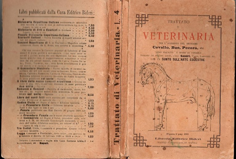 TRATTATO DI VETERINARIA E SUNTO SULL'ARTE EQUESTRE 1898 Bideri Libro …